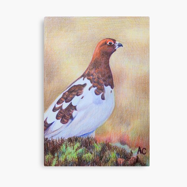 Item preview, Willow Ptarmigan designed and sold by WyoClements.