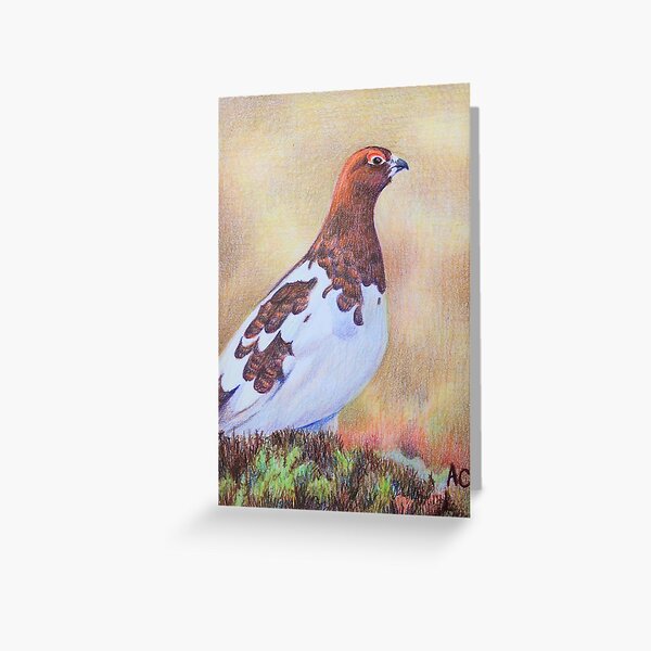 Willow Ptarmigan Greeting Card