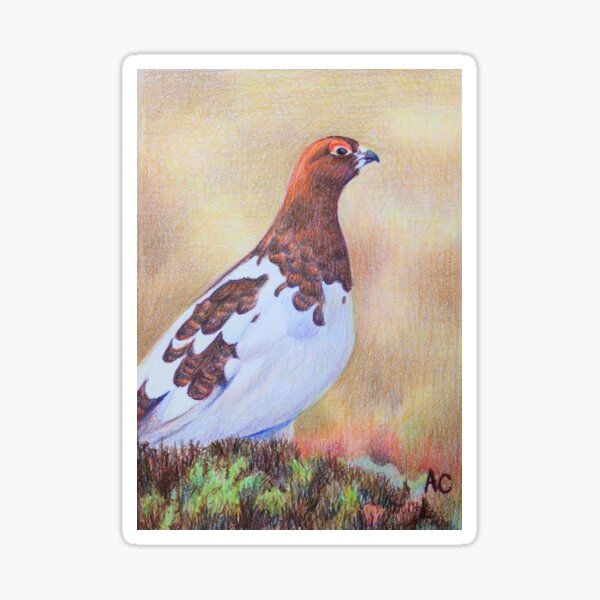 Item preview, Willow Ptarmigan designed and sold by WyoClements.