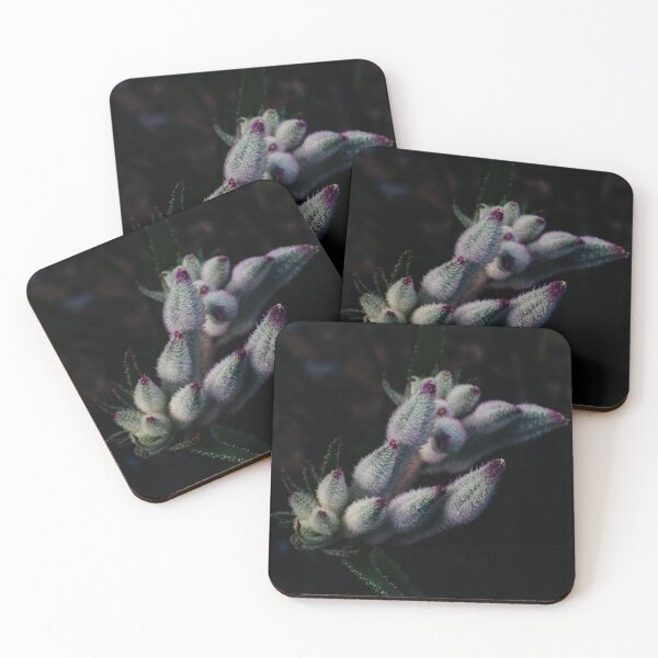 Item preview, Kangaroo Paw Flower v2 designed and sold by Michael van der Hoorn.