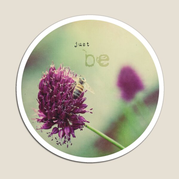 just be Magnet
