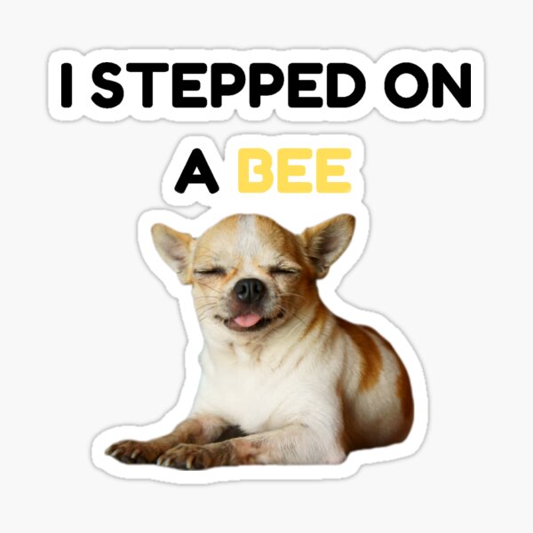 Amber 💩 - Dog Stepped on a Bee Remix! #amberturd