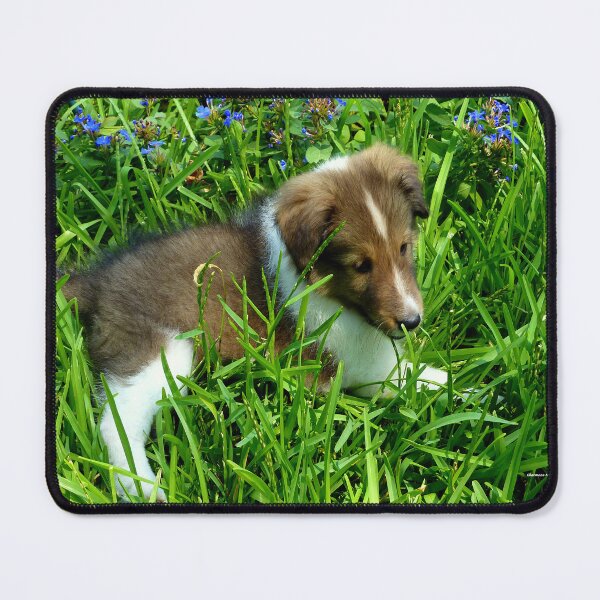 Item preview, NALA designed and sold by Charmiene Maxwell-Batten.