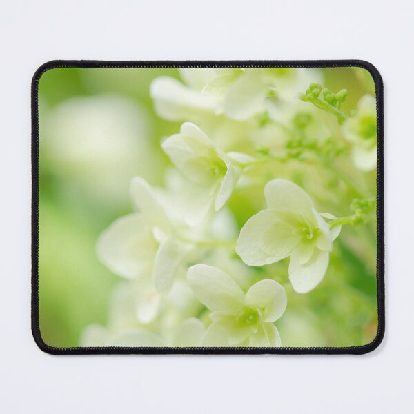 Item preview, White Hydrangea designed and sold by Masako Ogasawara.