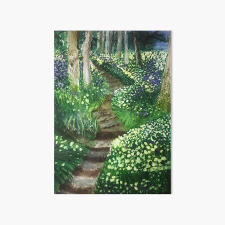 Forest Path Art Board Print