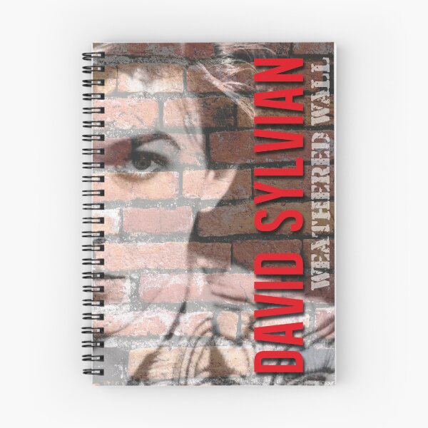 Item preview, David Sylvian designed and sold by Jools-57.