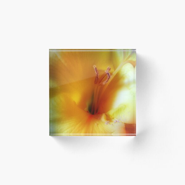 Flower 2 Acrylic Block