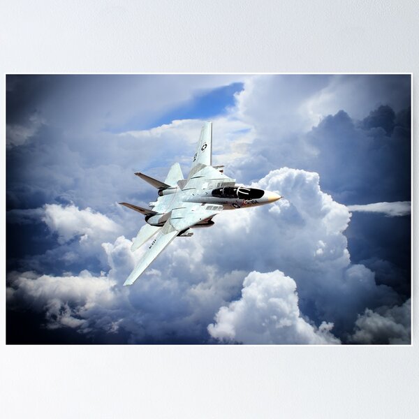 The Tomcat Poster