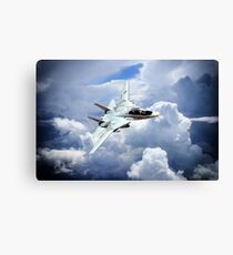 The Tomcat Canvas Print