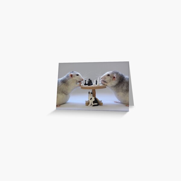 The real Chess Players :) Greeting Card