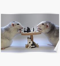 The real Chess Players :) Poster