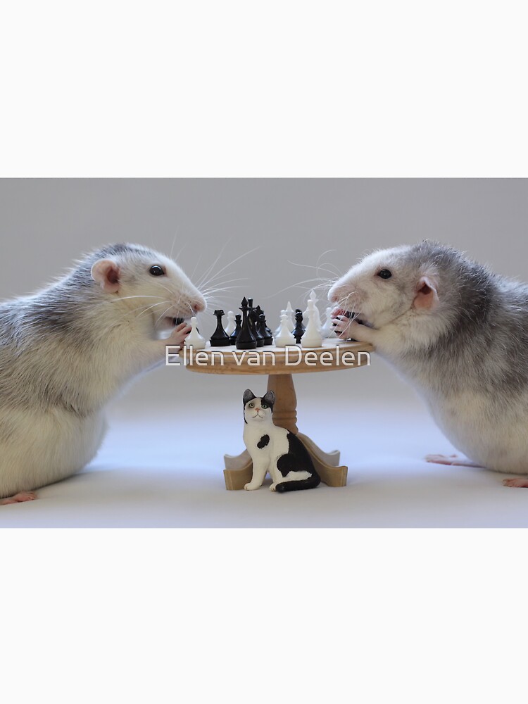 The real Chess Players :) by Ellen