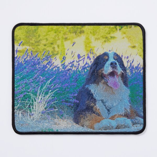 Item preview, Bernese Mountain Dog and the lavender  designed and sold by AlbertandOlly.