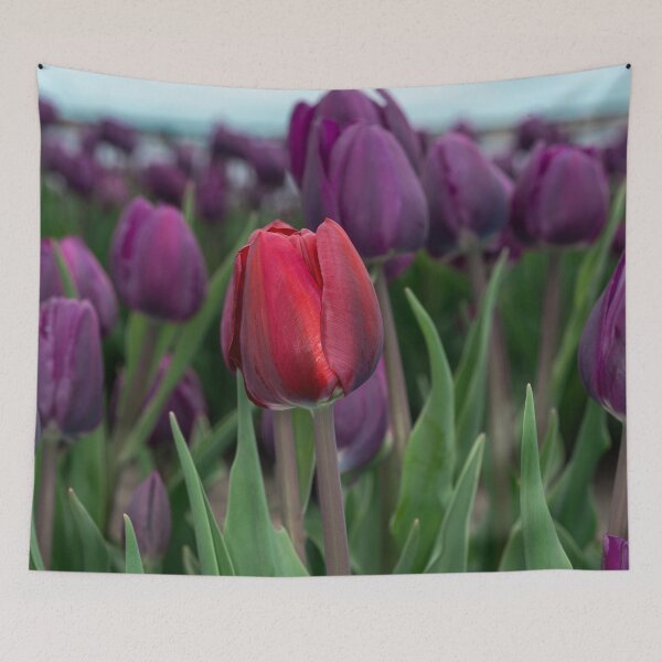 Item preview, Dare to be Different designed and sold by Roger Porter Photography.