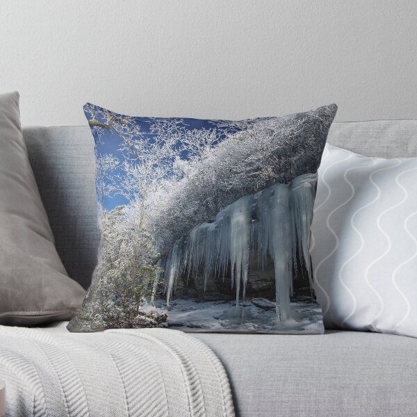 Ice Throw Pillow