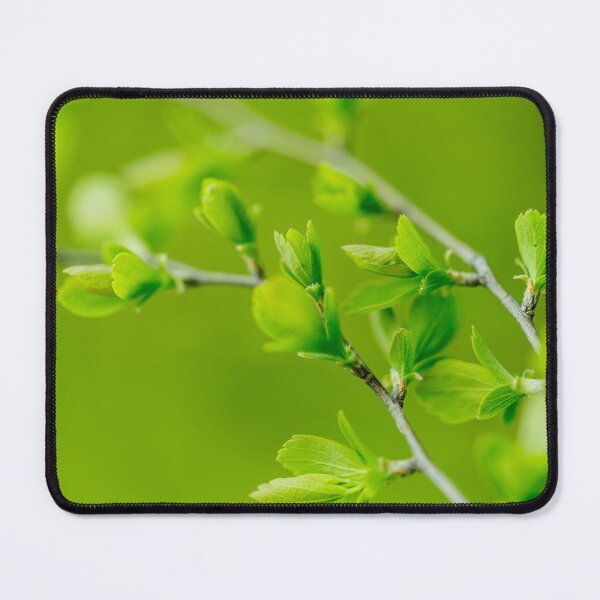 Item preview, Branch-with-young-leaves designed and sold by marygov.