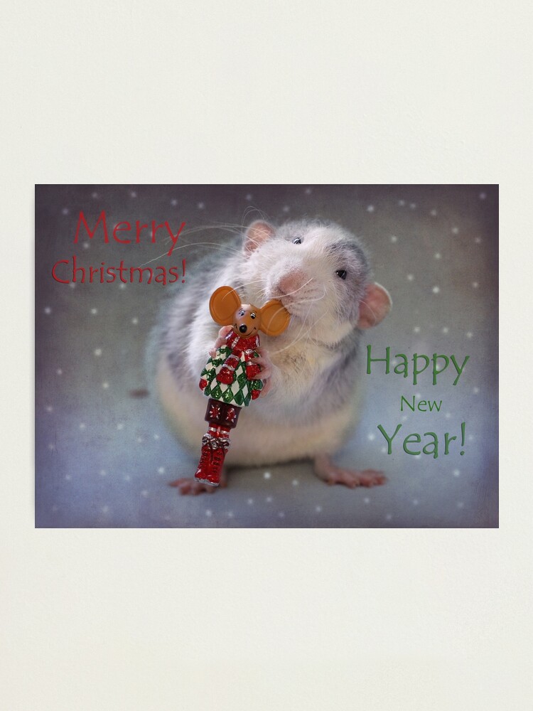Alternate view of Froppy wishes you all a Merry Christmas! Photographic Print