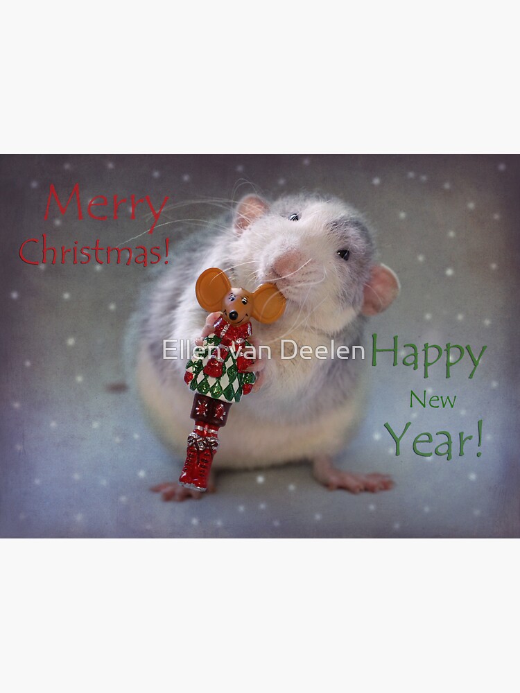 Froppy wishes you all a Merry Christmas! by Ellen