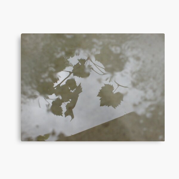 Rainy Day`s Metal Print