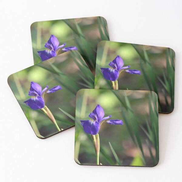 Aperçu de l'œuvre Iris créée et vendue par Drgnfly4free.