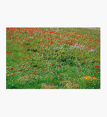 C'on Vincent Photographic Print