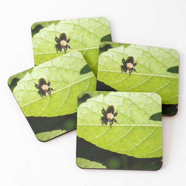 Item preview, Robber Fly designed and sold by Drgnfly4free.