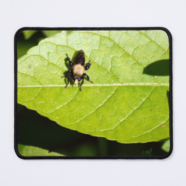 Item preview, Robber Fly designed and sold by Drgnfly4free.