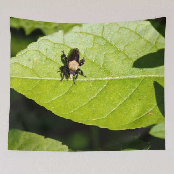 Item preview, Robber Fly designed and sold by Drgnfly4free.