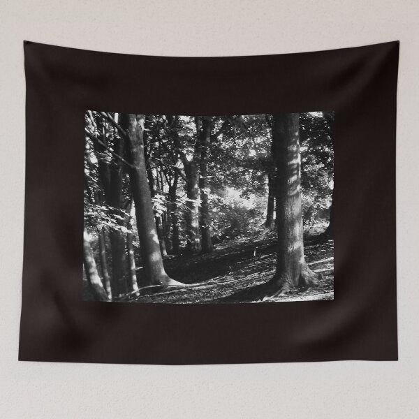 Item preview, Sunlit Trees (B/w) designed and sold by Shulie1.