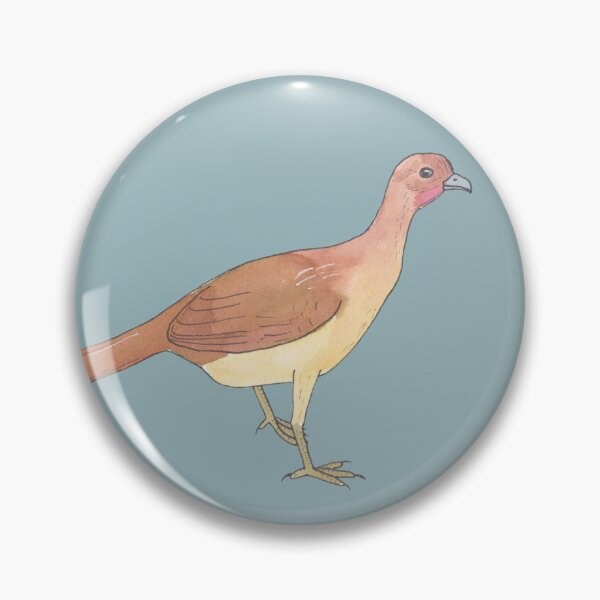 Item preview, Plain Chachalaca bird species watercolor wildlife art designed and sold by TheWaterBirds.