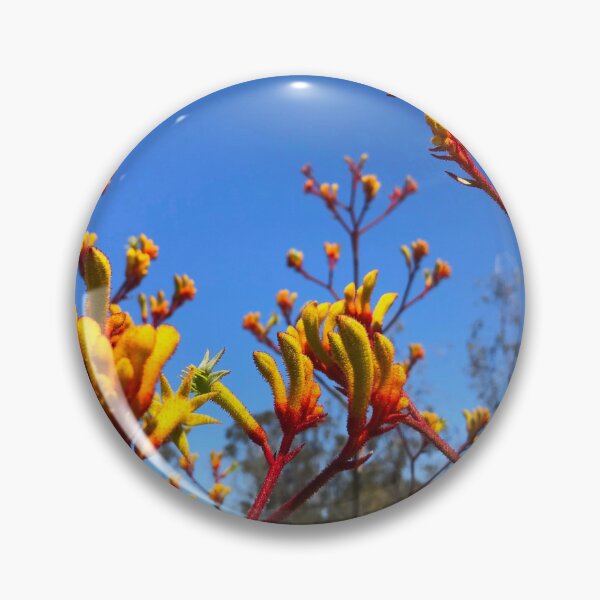 Item preview, Kangaroo Paw Beauty designed and sold by 1FunAussie.