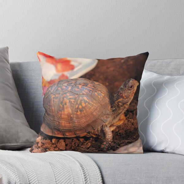 Item preview, Pampered Turtle designed and sold by Cynthia48.