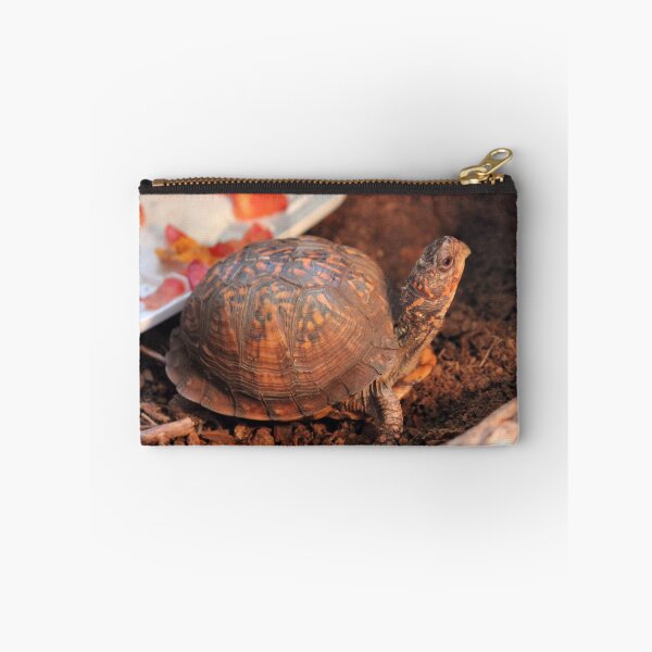 Item preview, Pampered Turtle designed and sold by Cynthia48.