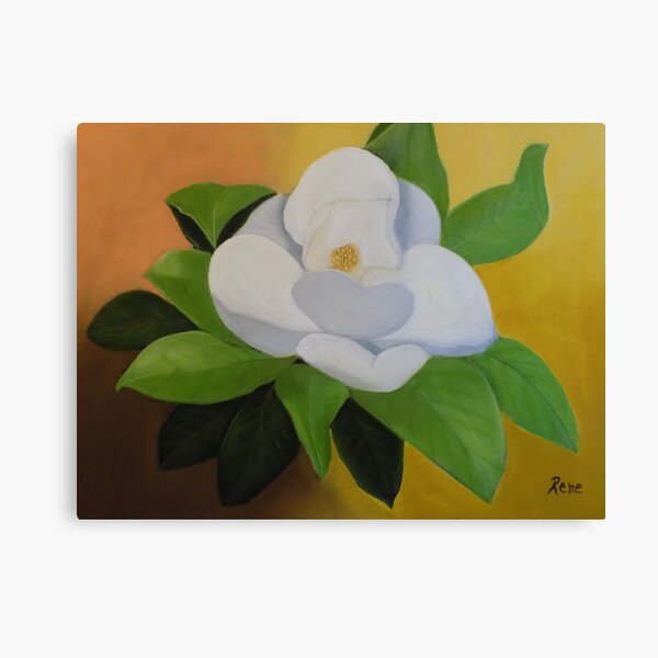 Magnolia In Full Bloom Canvas Print