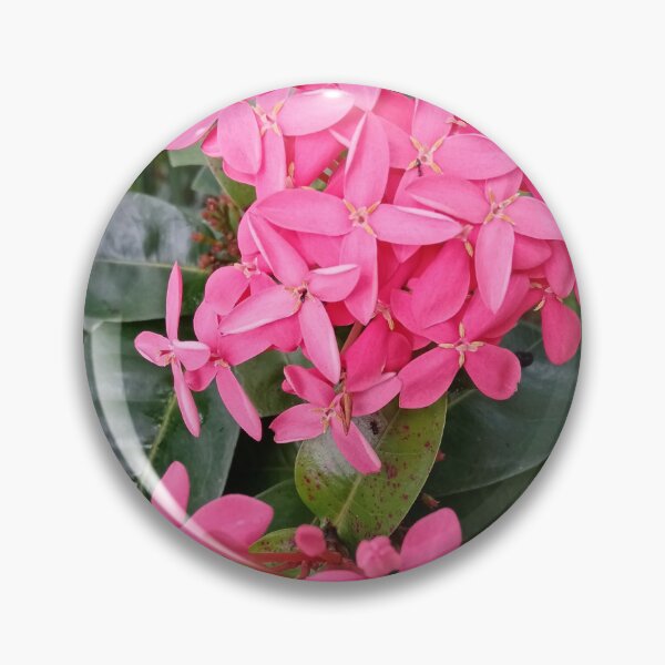 Item preview,  Pink Red Color Rathmal/ Ixora Coccinea Floral Photography Design designed and sold by DHAMMISTYLES.