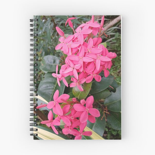 Item preview,  Pink Red Color Rathmal/ Ixora Coccinea Floral Photography Design designed and sold by DHAMMISTYLES.