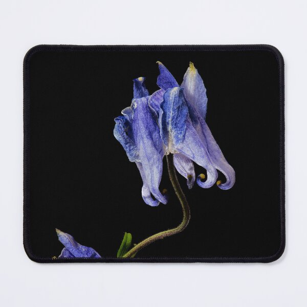 Item preview, Sprung #13: Crowning Glory designed and sold by AntSmith.