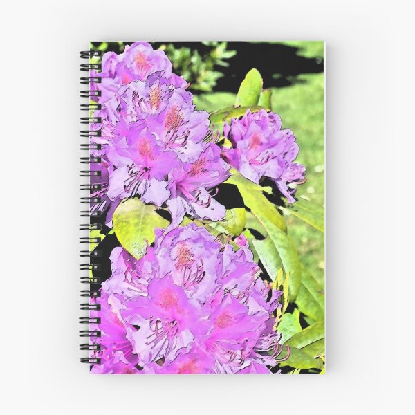 Item preview, Ferndale Rhody C designed and sold by VikingVisual.