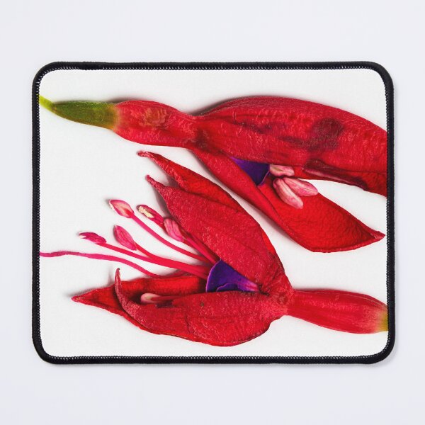 Item preview, Sprung #14: Fly By designed and sold by AntSmith.