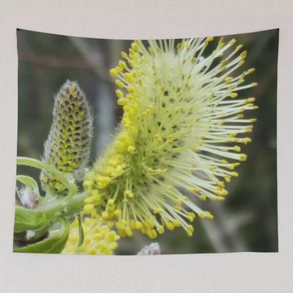 Item preview, Pussy Willow - 2 designed and sold by Barry W  King.