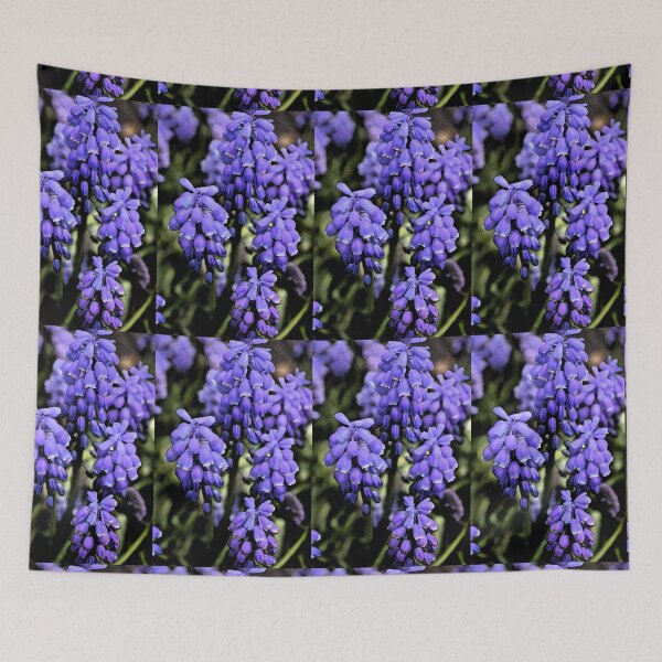 Item preview, Grape Hyacinths B designed and sold by VikingVisual.