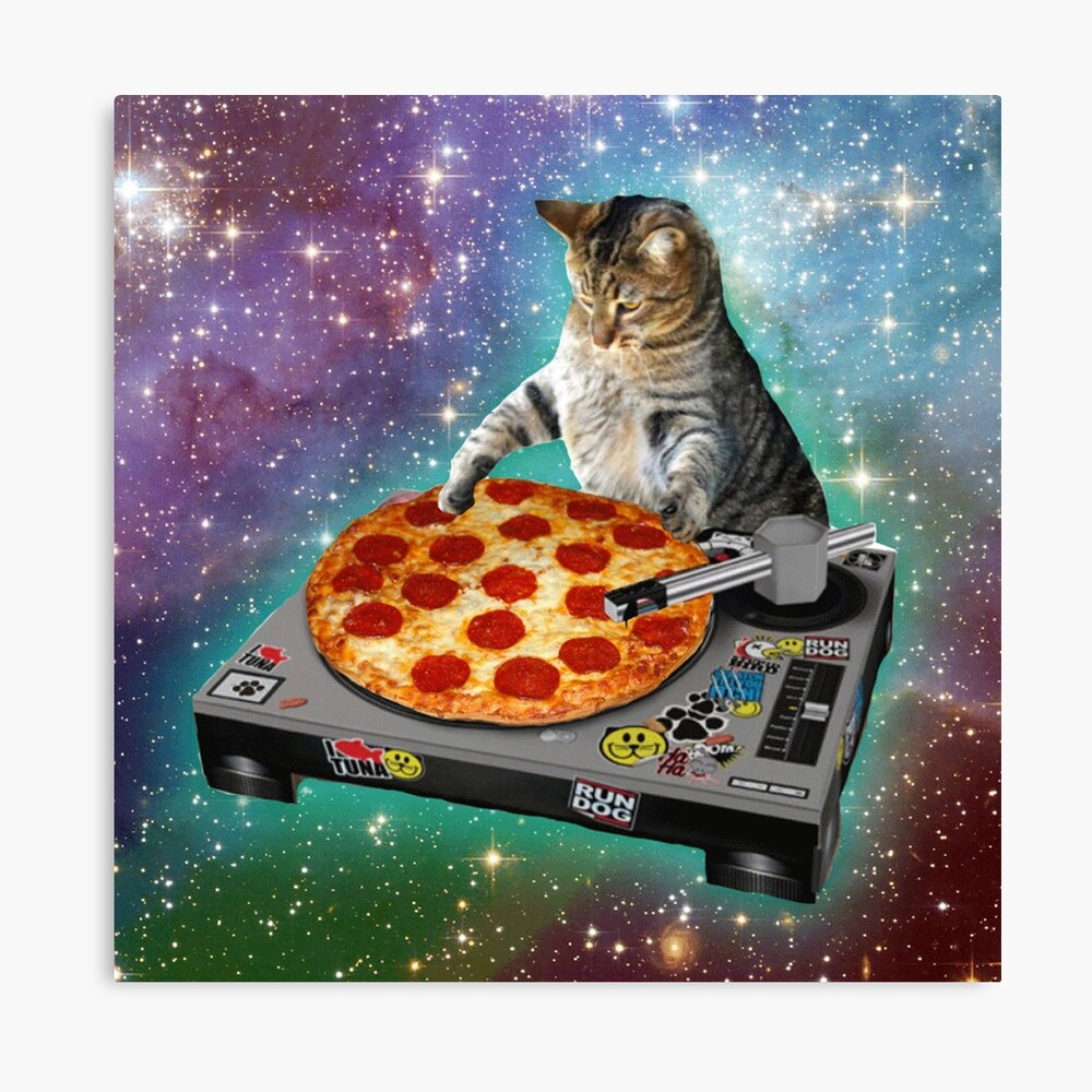 Funny Cute DJ Cat Metal Print for Sale by Nextlevellife