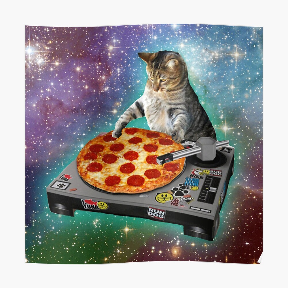 dj cat - space cat - cat pizza - cute cats oval sticker