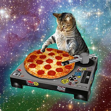 dj cat - space cat - cat pizza - cute cats oval sticker