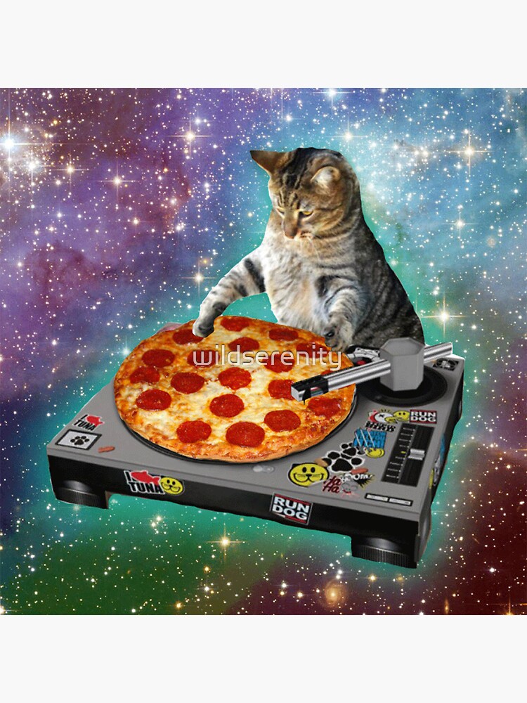 Galaxy Cat Pizza DJ Sticker Space Cat Sticker Funny Sticker 