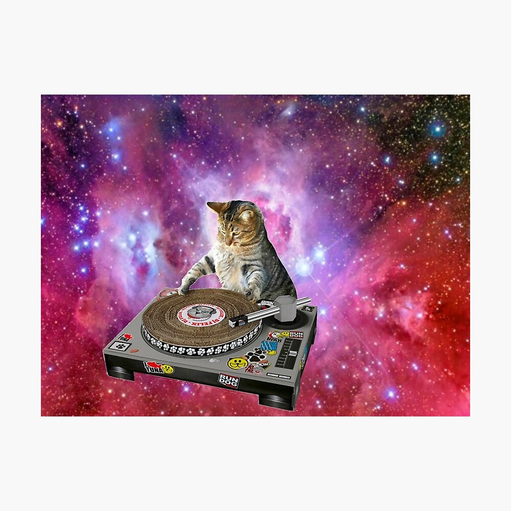 Dj cat meme sticker Poster for Sale by ButterflyBoiUgh