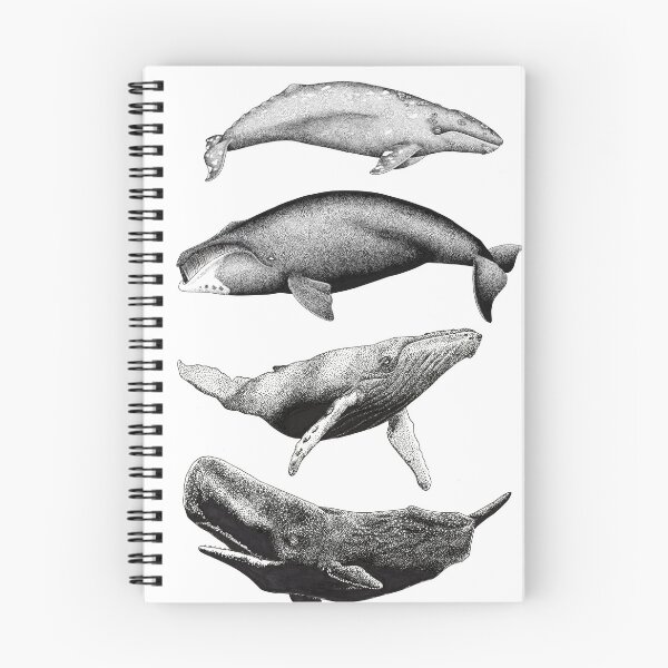 Item preview, Everything whale be alright designed and sold by kohola-kai.