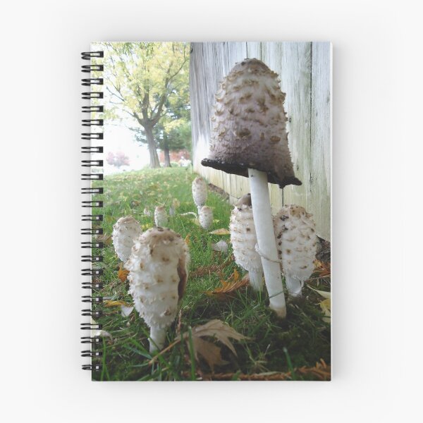 Item preview, Mushrooms designed and sold by WillowTeaHouse.