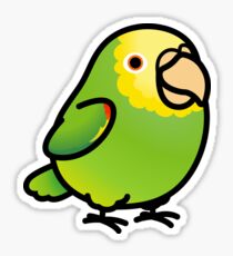 Chubby Yellow-headed Amazon Sticker