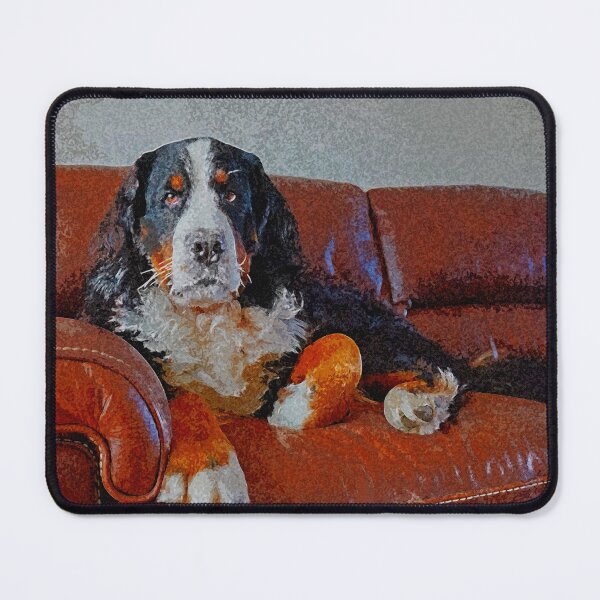 Item preview, Bernese Mountain Dog on the couche  designed and sold by AlbertandOlly.